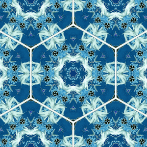 pattern_surface_nft: 244